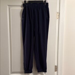Kenneth Cole eggplant satin Jogger Pants